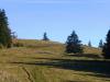 Im Südschwarzwald bei Bernau Im Südschwarzwald bei Bernau