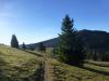 Auf dem Weg durch die Weide zur Krunkelbachhütte