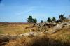 Westruper Heide DSC_4199 Westruper Heide DSC_4199