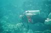 ÄGYPEN > Rotes Meer > Abu Dabbab > Diver ÄGYPEN > Rotes Meer > Abu Dabbab > Diver