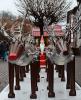 Weihnachtsmärkte 2114 DSC_8440 Weihnachtsmärkte 2114 DSC_8440