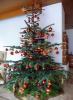 Christbaum Christbaum