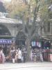 Türkei > Istanbul > Läden am Hippodrom