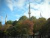 Türkei > Istanbul > Blick zur Blauen Moschee