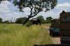 4 Dieters Afrikatour Krüger Nationalpark 3 4 Dieters Afrikatour Krüger Nationalpark 3
