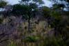 6 Dieters Afrikatour Krüger Nationalpark 5 6 Dieters Afrikatour Krüger Nationalpark 5