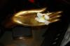 Hand mit Lotusblume Hand mit Lotusblume