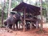 Thailand 238 Thailand 238