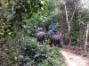 Thailand 246 Thailand 246