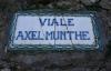 ANACAPRI > Viale Axel Munthe ANACAPRI > Viale Axel Munthe