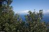 ANACAPRI > Ausblick zum Vesuv ANACAPRI > Ausblick zum Vesuv