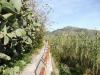 Ischia Punta Imperatore Ischia Punta Imperatore