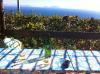 Ischia
