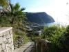Ischia 10.2016 054 Ischia 10.2016 054