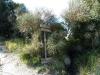 Ischia 10.2016 175 Ischia 10.2016 175