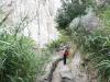 Ischia 10.2016 355 Ischia 10.2016 355