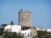 Ischia 10.2016 411 Ischia 10.2016 411