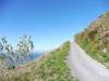 Ischia 10.2016 488 Ischia 10.2016 488