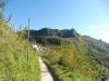 Ischia 10.2016 489 Ischia 10.2016 489