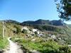 Ischia 10.2016 490 Ischia 10.2016 490