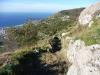 Ischia 10.2016 502 Ischia 10.2016 502
