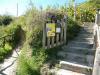 Ischia 10.2016 556 Ischia 10.2016 556
