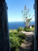 Ischia 10.2016 567 Ischia 10.2016 567