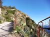 Ischia 10.2016 592 Ischia 10.2016 592