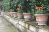 TIVOLI > Villa d'Este > Park > 33n34 TIVOLI > Villa d'Este > Park > 33n34
