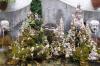 Amalfi1-23 Amalfi1-23