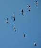 Insel Poel 2014 DSC_7988 Insel Poel 2014 DSC_7988