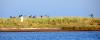 Insel Poel 2014 DSC_8033 Insel Poel 2014 DSC_8033