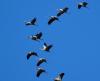 Insel Poel 2014 DSC_8043 Insel Poel 2014 DSC_8043