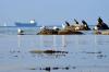 Insel Poel 2014 DSC_8101 Insel Poel 2014 DSC_8101
