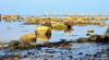 Insel Poel 2014 DSC_8106 Insel Poel 2014 DSC_8106