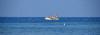 Insel Poel 2014 DSC_8110 Insel Poel 2014 DSC_8110