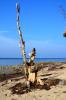 Insel Poel 2014 DSC_8117 Insel Poel 2014 DSC_8117