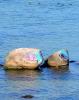 Insel Poel 2014 DSC_8122a Insel Poel 2014 DSC_8122a
