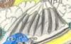 EF4 > Teneriffa > Pico del Teide EF4 > Teneriffa > Pico del Teide