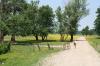 Im Lonjsko Polje 2 Im Lonjsko Polje 2