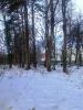Stadtpark2 Stadtpark2