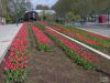 BUGA13_04_4 2 BUGA13_04_4 2