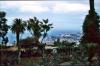 Madeira , die Vulkan- aber auch Frühlingsinsel, Teil 1 8 Madeira , die Vulkan- aber auch Frühlingsinsel, Teil 1 8
