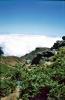 Madeira , die Vulkan- aber auch Frühlingsinsel, Teil 1 3