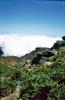 Madeira , die Vulkan- aber auch Frühlingsinsel, Teil 1 3 Madeira , die Vulkan- aber auch Frühlingsinsel, Teil 1 3