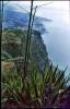 Madeira , die Vulkan- aber auch Frühlingsinsel, Teil 3