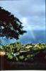 Madeira , die Vulkan- aber auch Frühlingsinsel, Teil 1 Madeira , die Vulkan- aber auch Frühlingsinsel, Teil 1