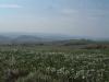 VOLTERRA > Blick nach Süden