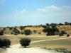 Kgalagadi Park 2 Kgalagadi Park 2