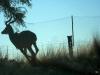 Namibia 2012/13 Namibia 2012/13